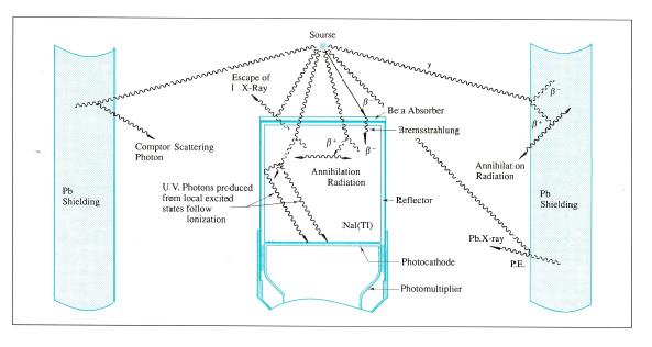Interaction processes inside a NaI(Tl) detector including Compton scatter, Bremsstrahlung, annihilation, and escape radiation.